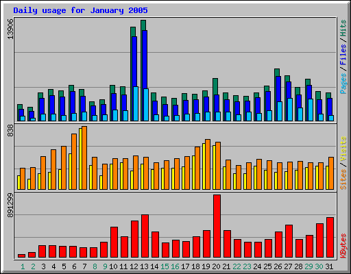 Daily usage for January 2005