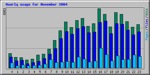 Hourly usage for November 2004