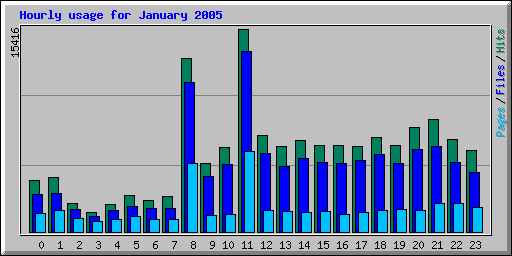 Hourly usage for January 2005