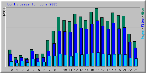 Hourly usage for June 2005