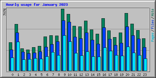 Hourly usage for January 2023